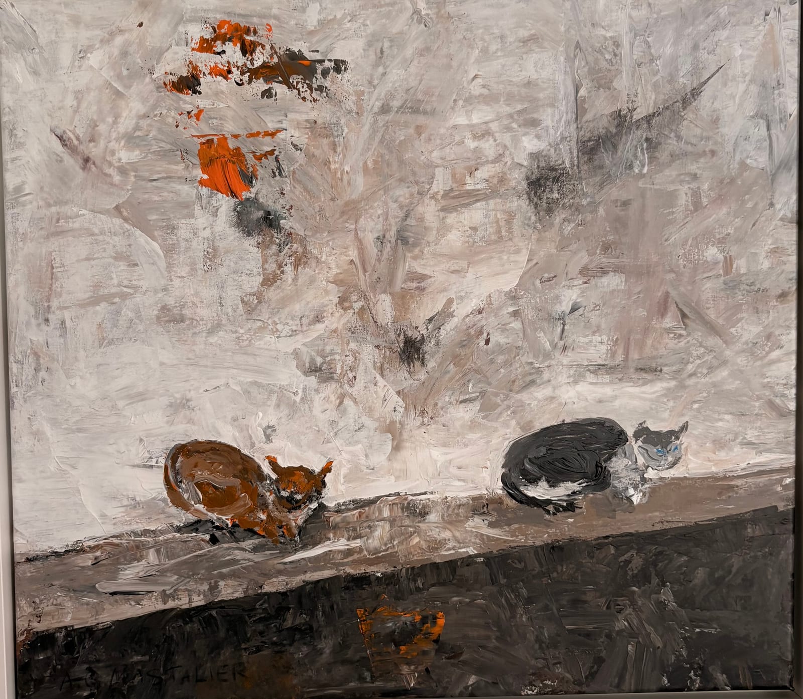 Katzen in Istanbul von Andrea Mastalier