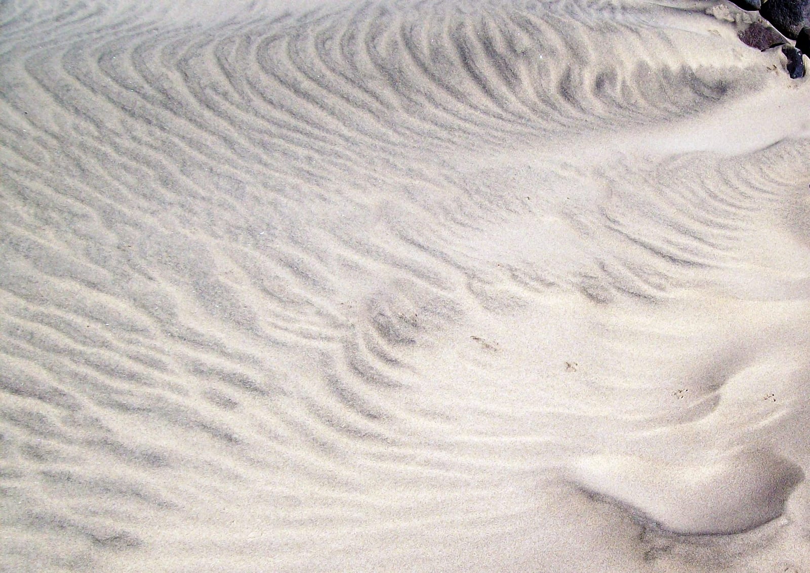 Kunst in den Dünen von Rolf Cordes