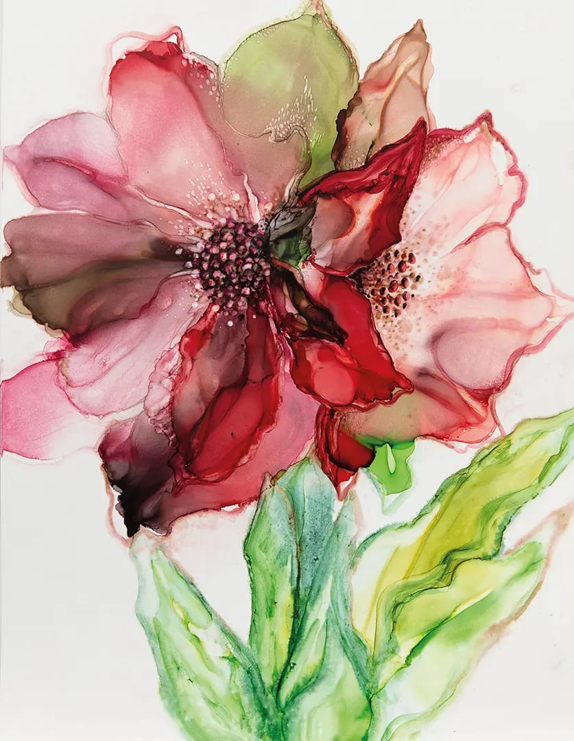 Amaryllis von Manuela Dona