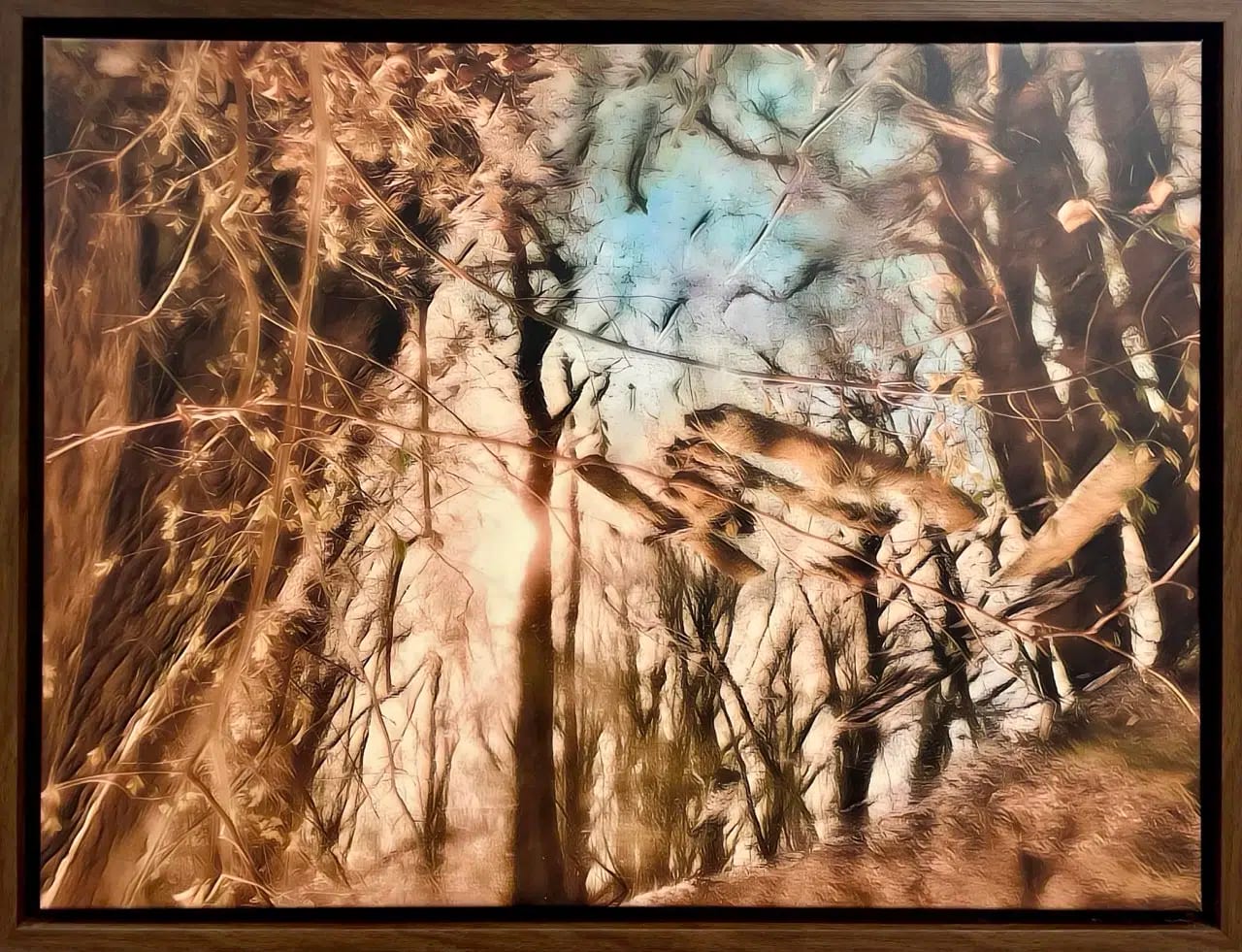 Waldlacke von Gerald Frey