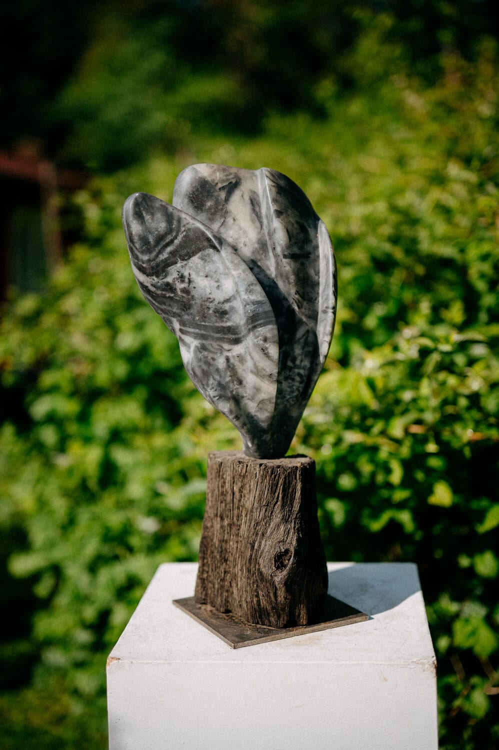 Schwingung von Ulrike Hahn