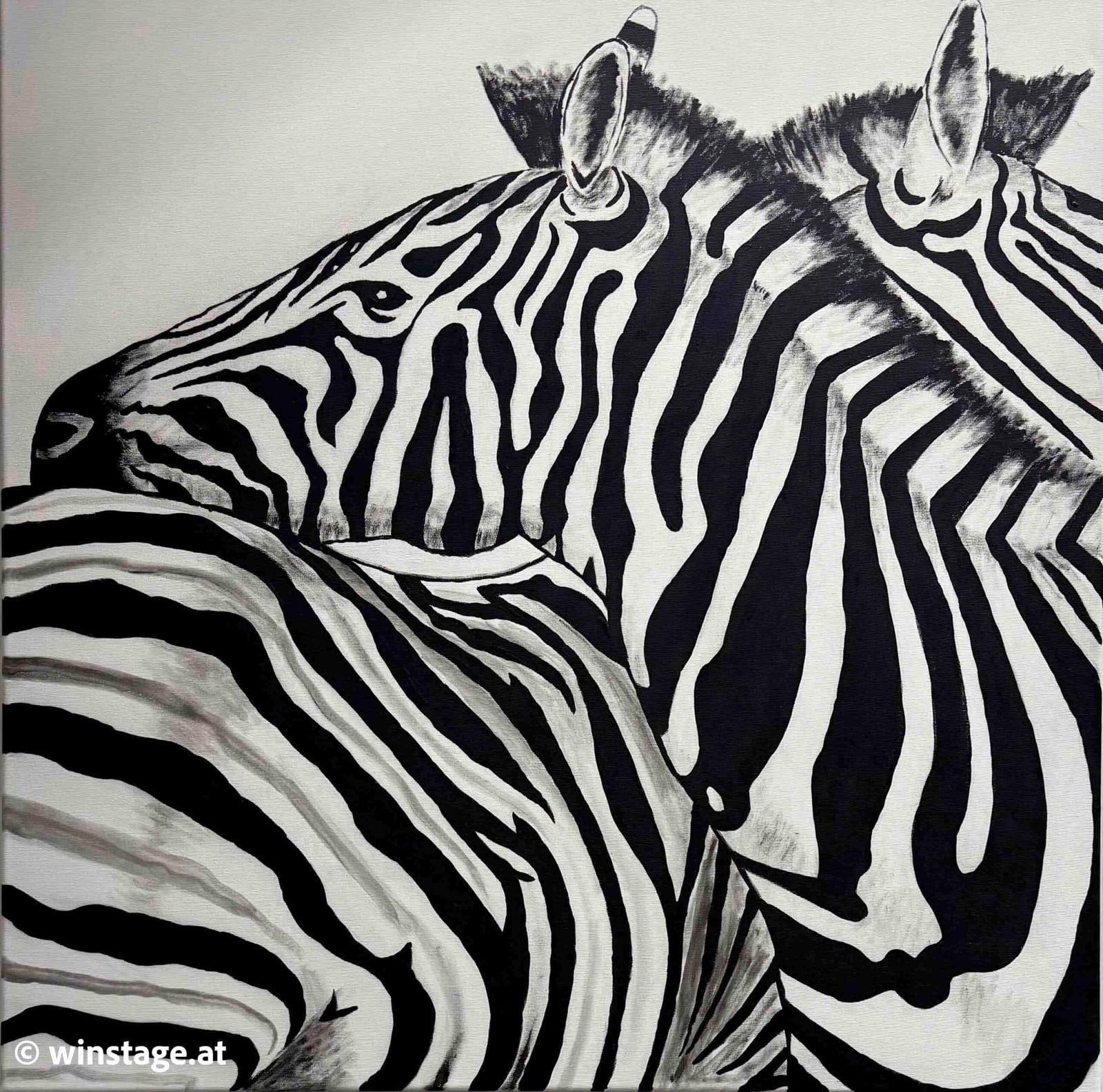 Zebra von Martin Heidenreich