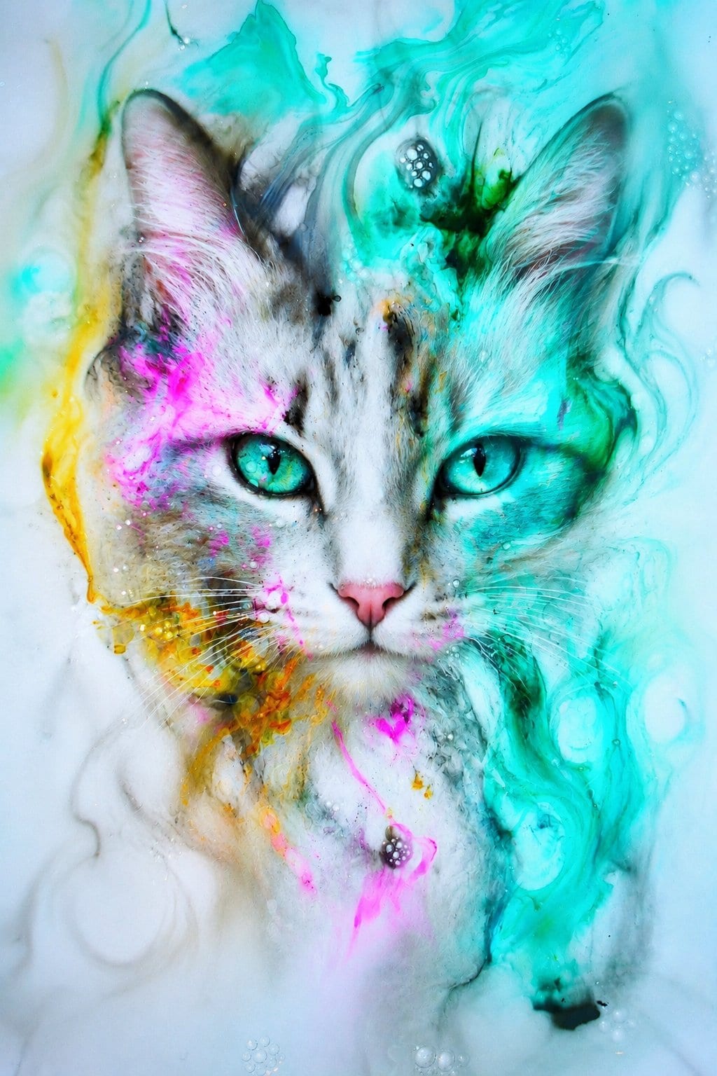 Miau von Martin Luisi