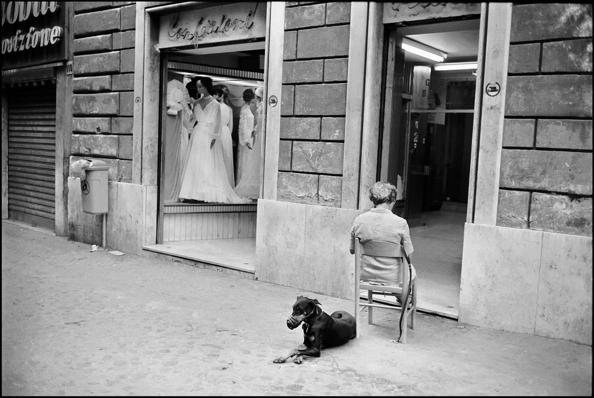Woman, Dog and Wedding Dresses von James Rae