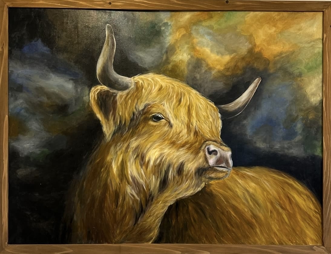 Hochlandrind von Katja Reiter
