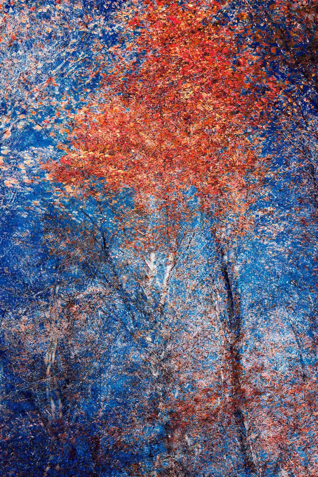 Phantom Structures Energy of Light and Color von Oleksandr Shapovolov