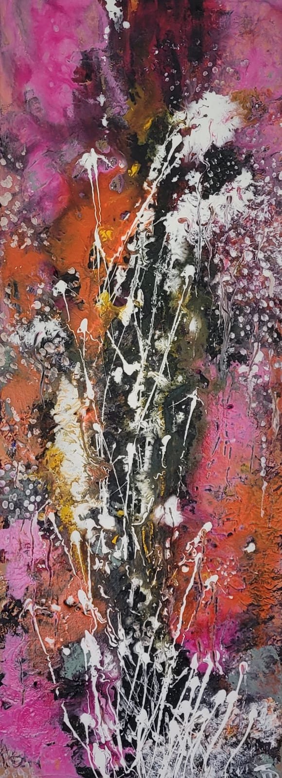 Sternsprüher von Dorothea Trinkl